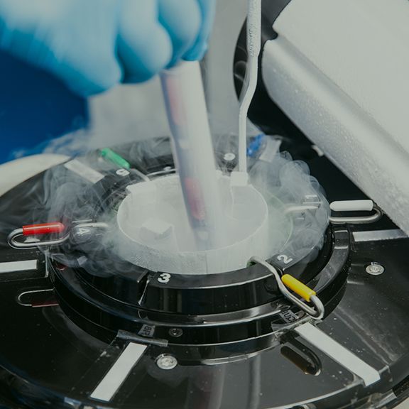 净化保种与定制繁育服务