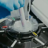 净化保种与定制繁育服务