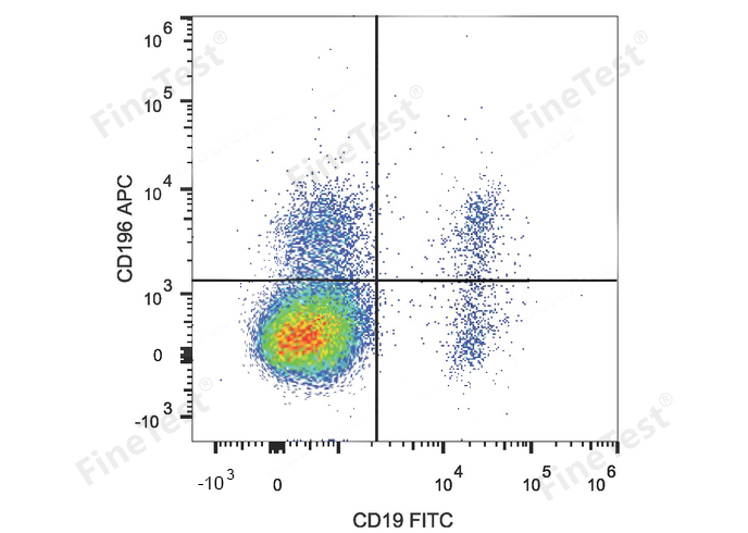 APC Anti-Human CD196 Antibody(
