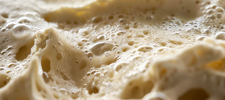 Bertin Technologies Precellys 设备革新酵母裂解技术，效率与效果双重突破