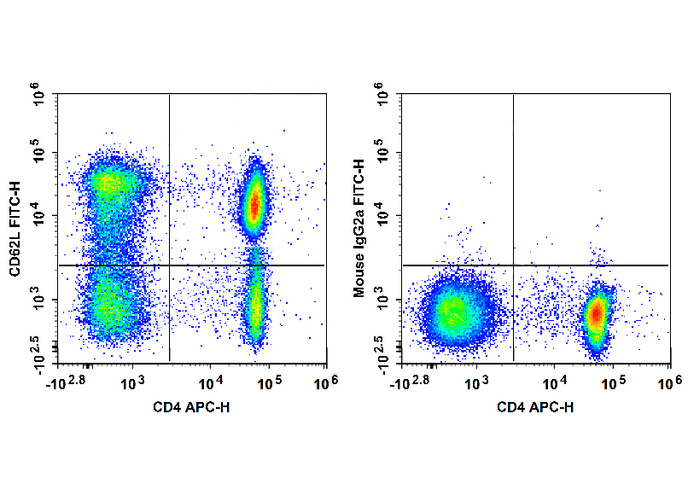 FITC Anti-Human CD62L Antibody
