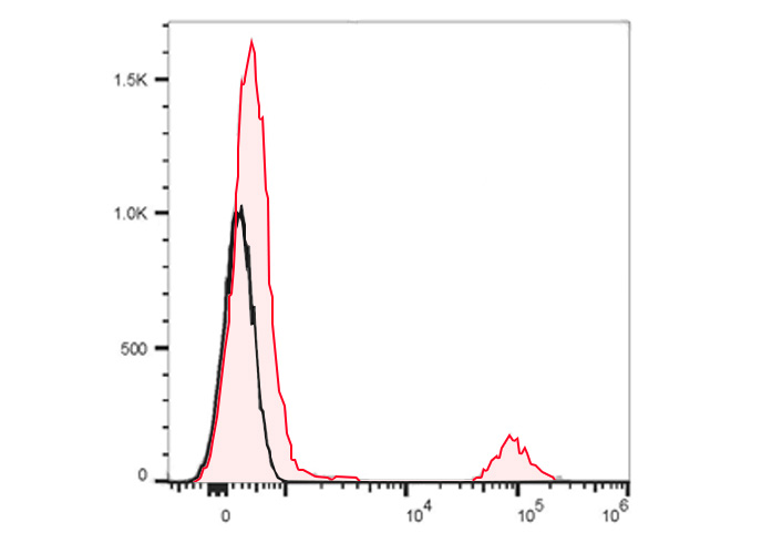 FineTest®700 Anti-Human CD20 A