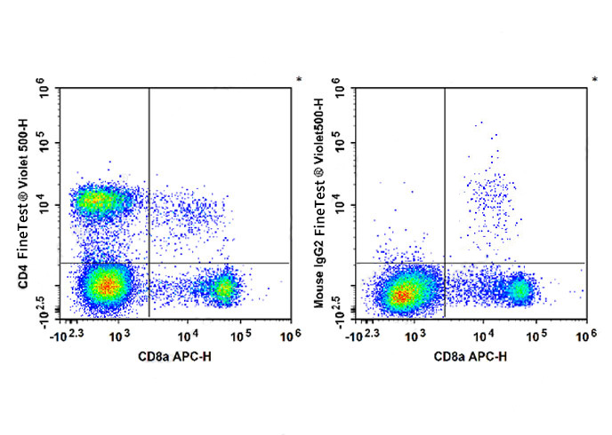 FineTest®Violet 500 Anti-Rat C