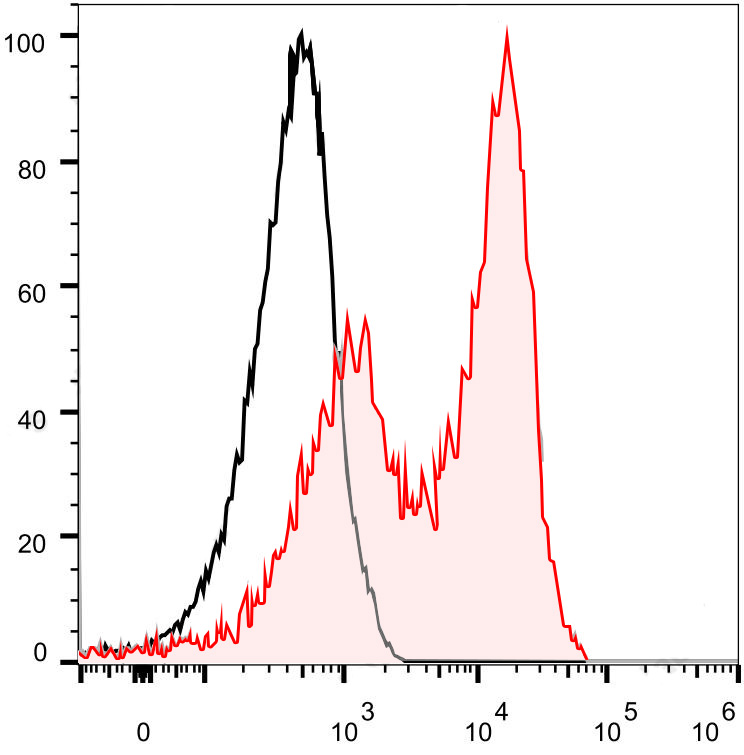 FineTest®Violet 540 Anti-Human
