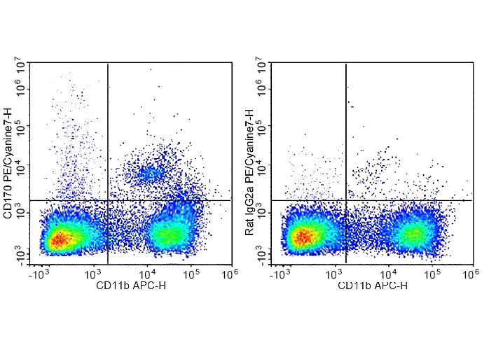 PE-Cy7 Anti-Mouse CD170 Antibo