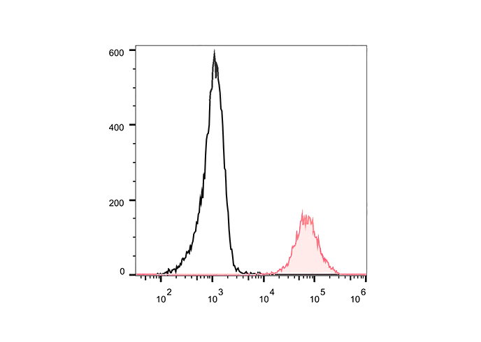 FineTest®700 Anti-Human CD146 