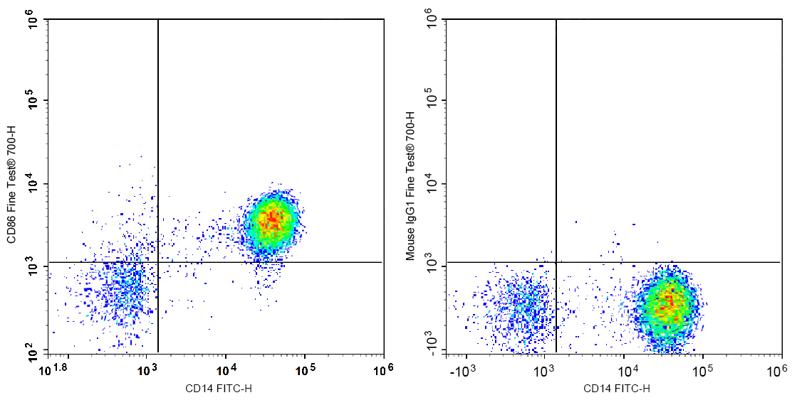 FineTest®700 Anti-Human CD86 A