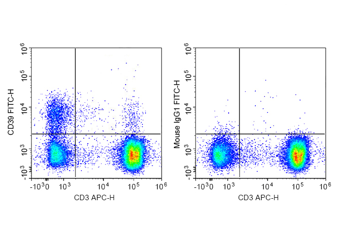 FITC Anti-Human CD39 Antibody(