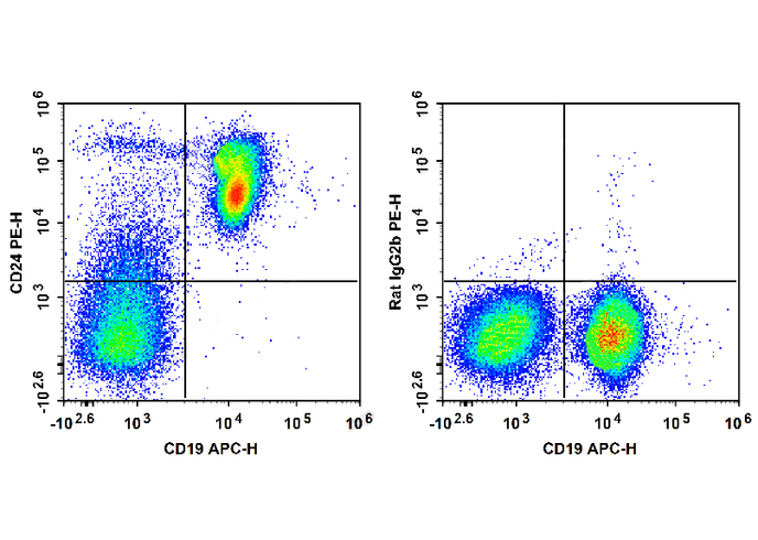 PE Anti-Mouse CD24 Antibody(M1