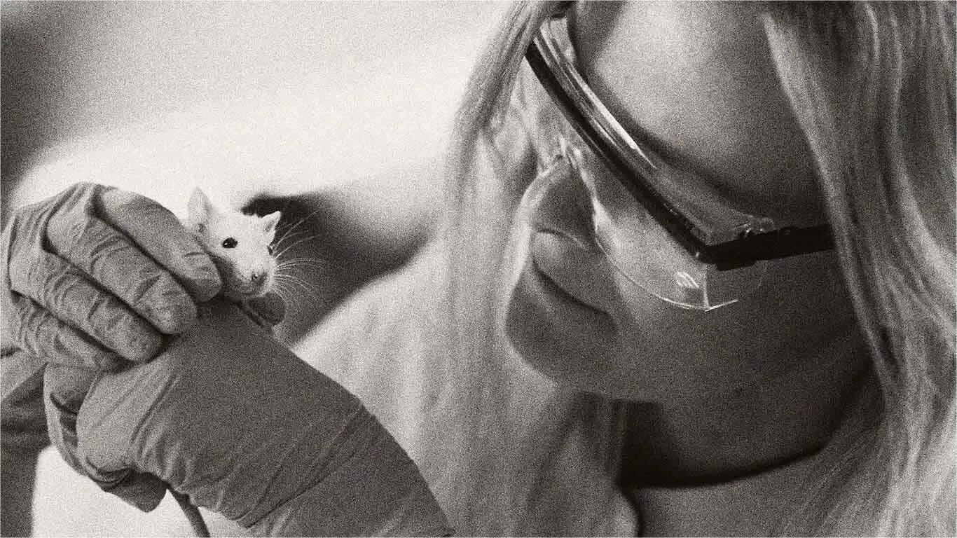 一文讲清！免疫缺陷小鼠选择黄金指南