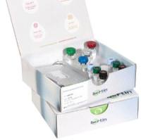 Precellys®24 触屏版匀浆仪