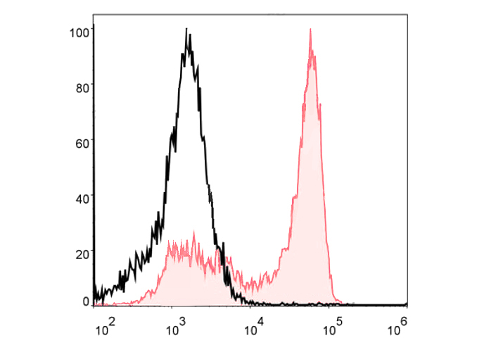 PerCP Anti-Mouse Ly6G Antibody