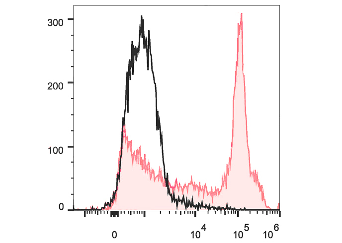 PE-Cy7 Anti-Mouse CD38 Antibod