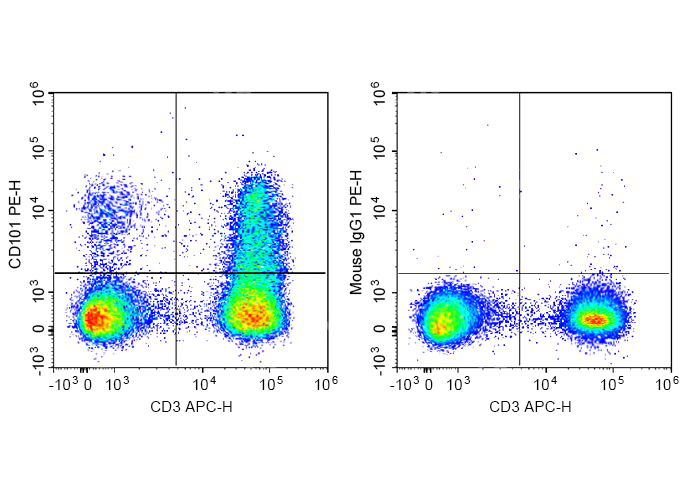 PE Anti-Human CD101 Antibody(B