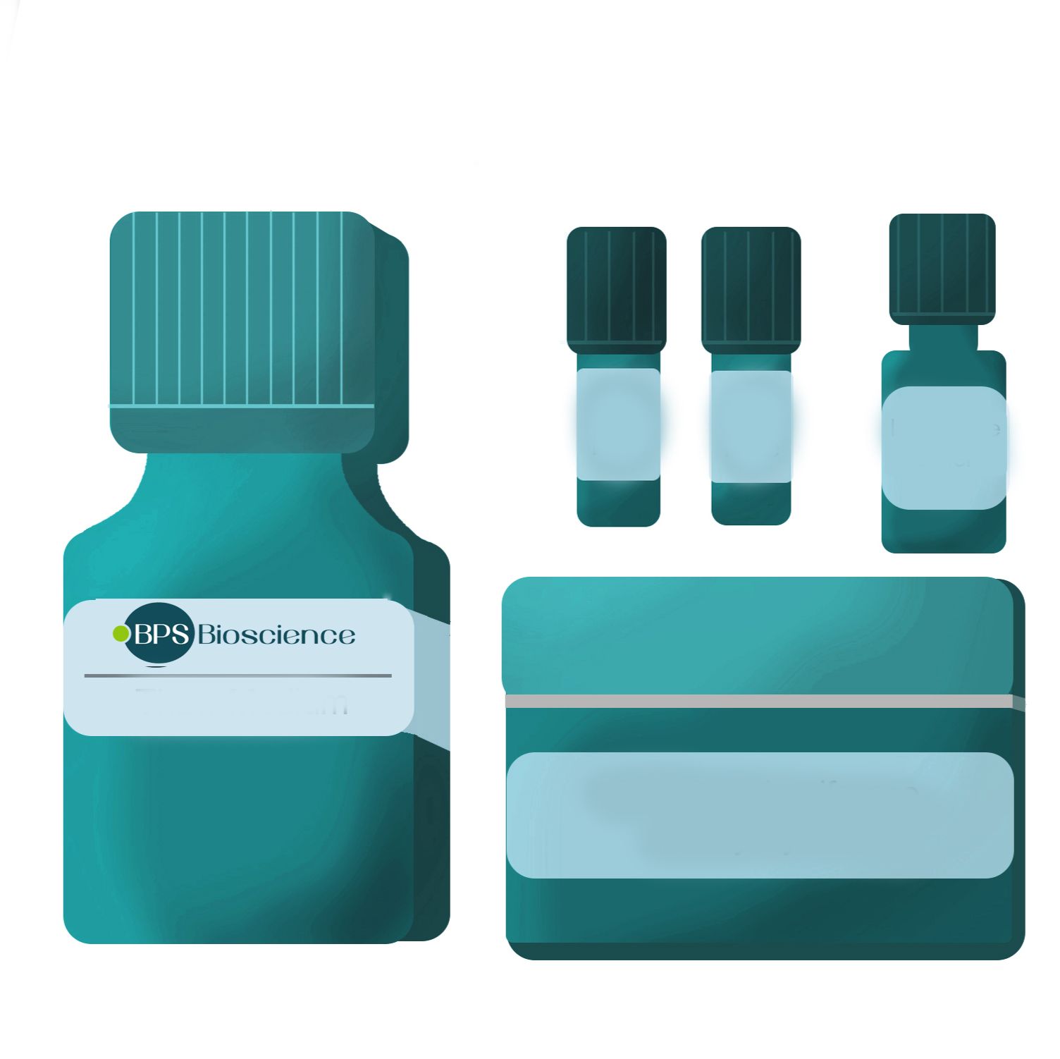 两步法双荧光素酶（萤火虫和海肾荧光素酶）检测系统