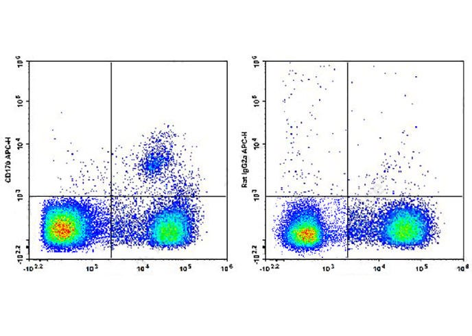 APC Anti-mouse CD170 (S17007L)