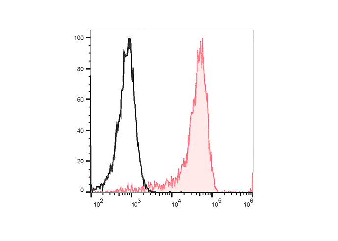 PE Anti-Human CD192/CCR2 Antib
