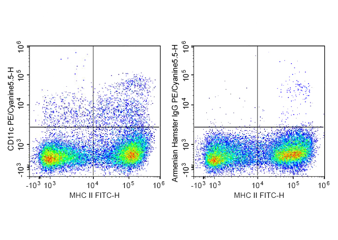 PE-Cy5.5 Anti-Mouse CD11c Anti