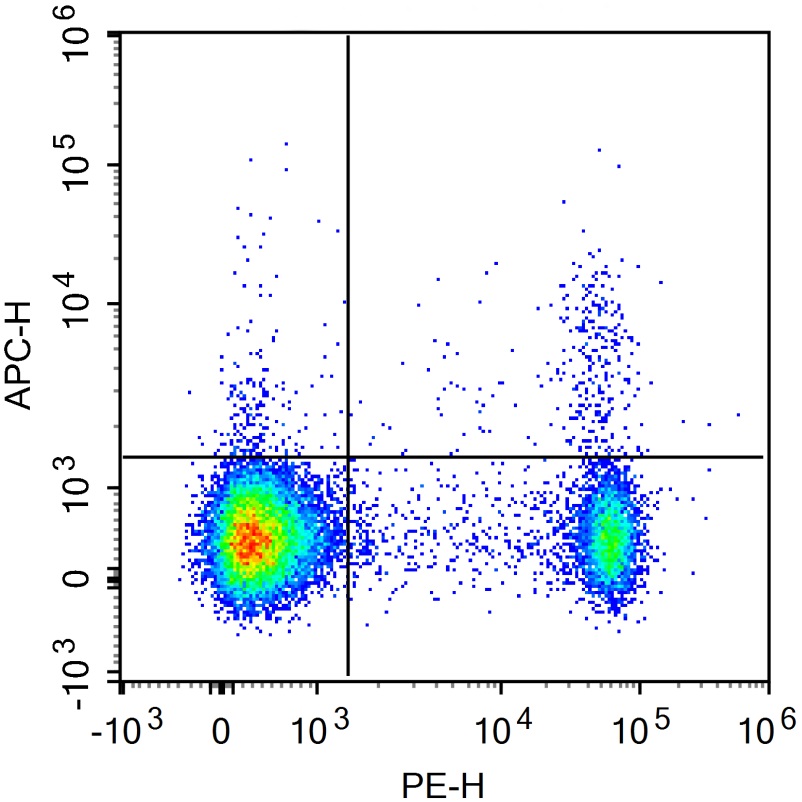 APC Anti-Mouse CD25 Antibody(P