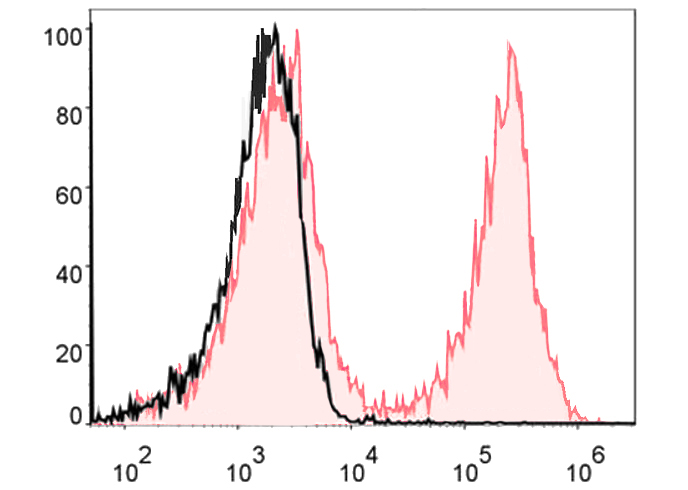 PE-Cy5 Anti-Mouse CD19 Antibod