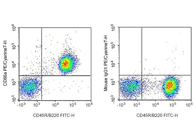 PE-Cy7 Anti-Mouse CD66A Antibo