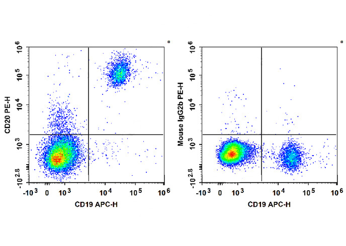 PE Anti-Human CD20 Antibody(2H