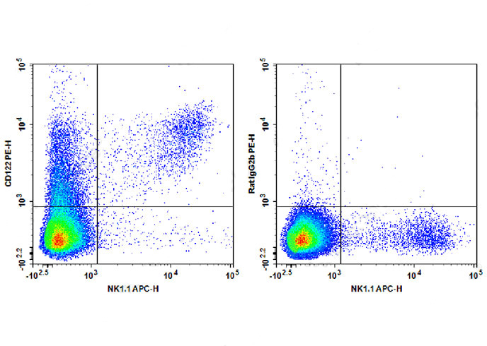 PE Anti-Mouse CD122 Antibody(T