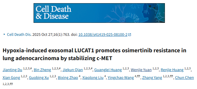 实验闭环咋搭不迷茫？细胞→体内模型→类器官，这篇外泌体研究证据链超扎实！IF:9+发文逻辑轻松学