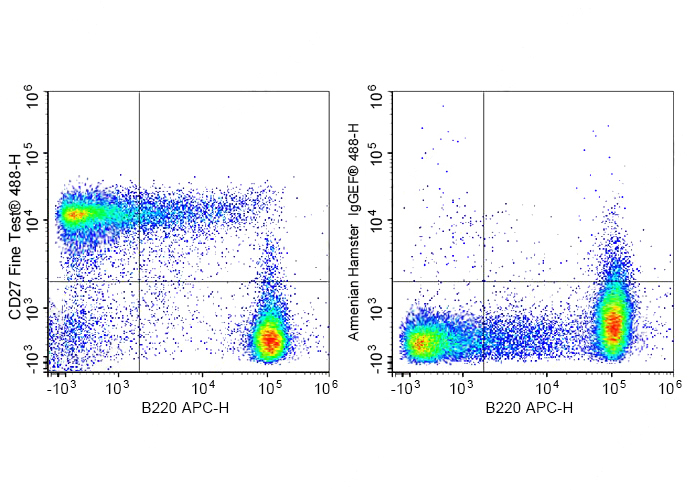 FineTest®488 Anti-Mouse CD27 A