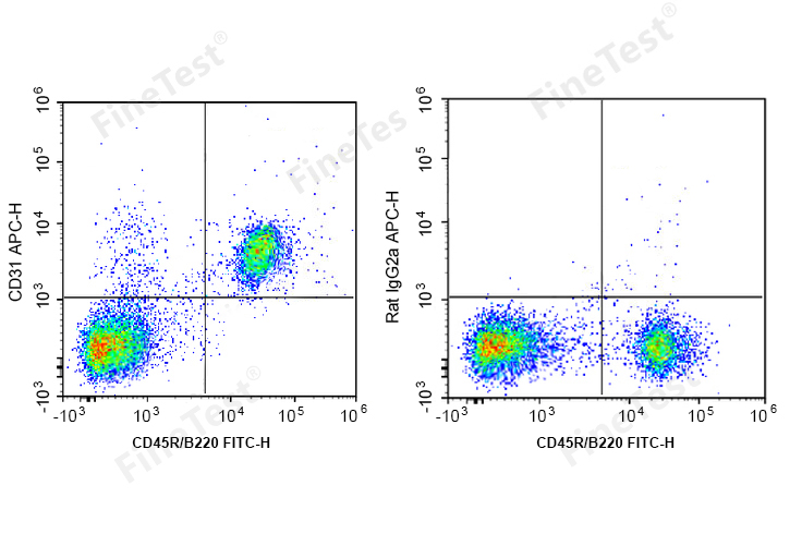 APC Anti-Mouse CD31 Antibody(3