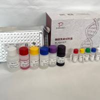 人(Human)肉毒碱棕榈酰基转移酶1B(CPT1B)ELISA检测试剂盒