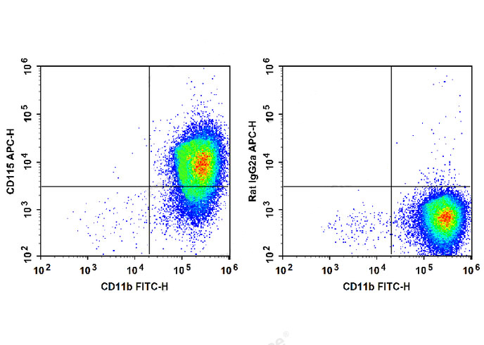 APC Anti-Mouse CD115/CSF-1R An
