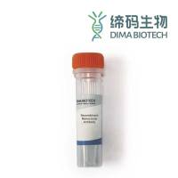 CD166抗体/Biotinylated Anti-CD166 antibody(DMC682), IgG1 Chimeric mAb
