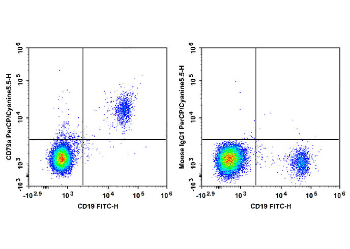 PerCP-Cy5.5 Anti-Human CD79a A