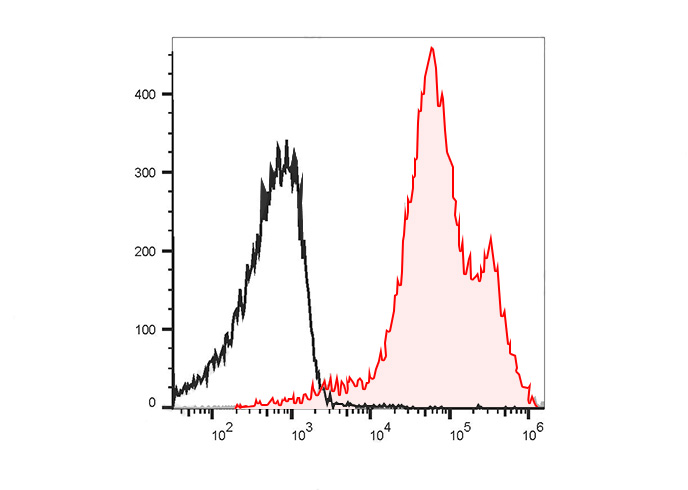 PE-Cy5 Anti-Human/Mouse CD44 A
