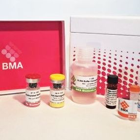 CRF， CRH多克隆抗体