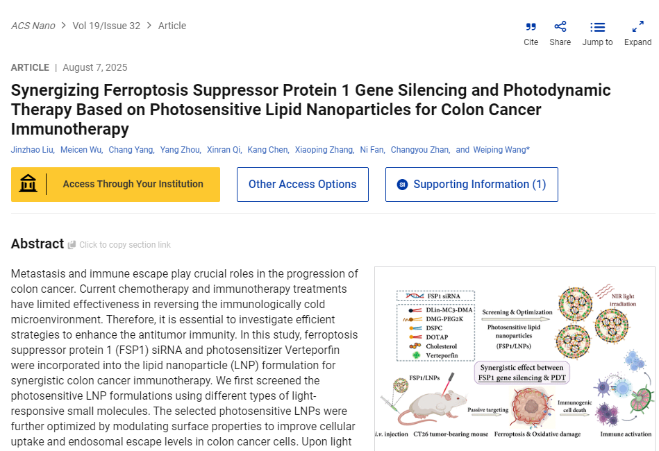 揭示了FSP1基因沉默与光动力疗法的协同潜力，为结肠癌治疗提供了安全高效的新方案。