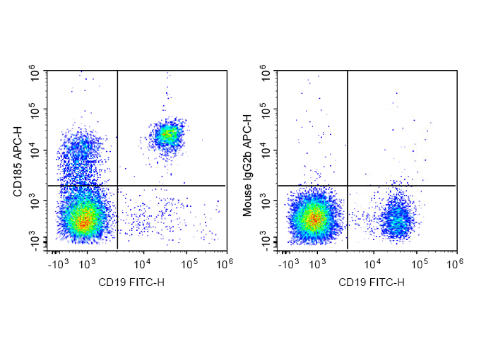 APC Anti-Human CD185 Antibody(