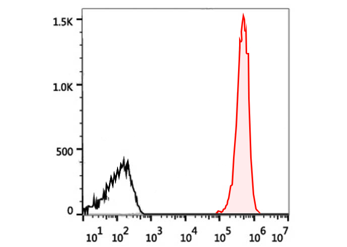 PE Anti-Human CD41 (HIP8)