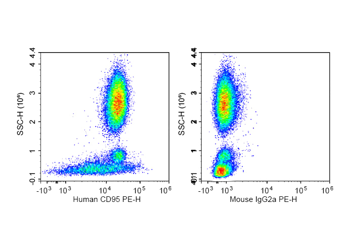 PE Anti-Human CD95/Fas Antibod