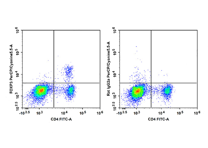 PerCP-Cy5.5 Anti-Mouse/Rat Fox