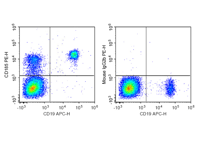 PE Anti-Human CD185 Antibody(M