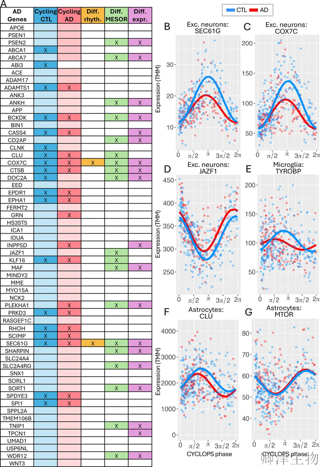 【脑细胞生物钟图谱】 | 生物钟紊乱：阿尔茨海默病背后的“蛋白质工厂”停工危机
