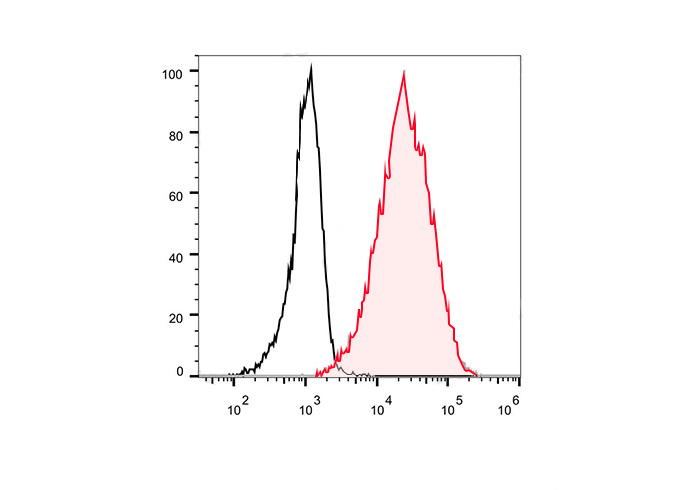 FineTest®700 Anti-Human CD117/