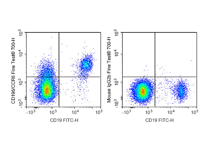 FineTest®700 Anti-Human CD196/