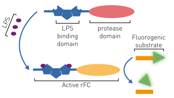 利用 CLARIOstar Plus 的增强动态范围功能实现更快速的 PyroGene™ 内毒素检测