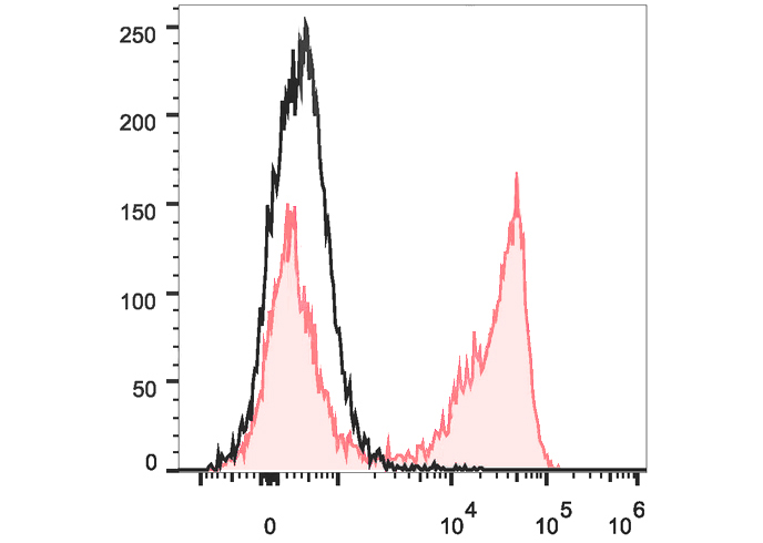 PerCP Anti-Mouse Ly-6G/Ly-6C (