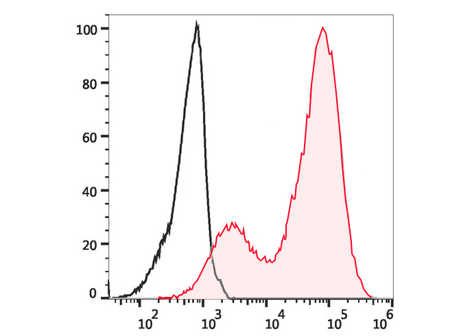 FineTest®Violet 450 Anti-Mouse
