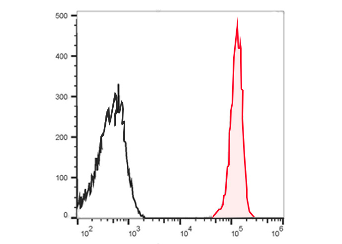 FineTest®700 Anti-Human CD45 A
