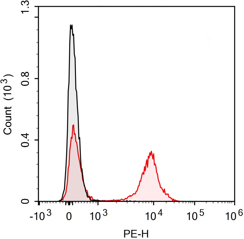 PE Anti-Mouse CD19 Antibody(1D
